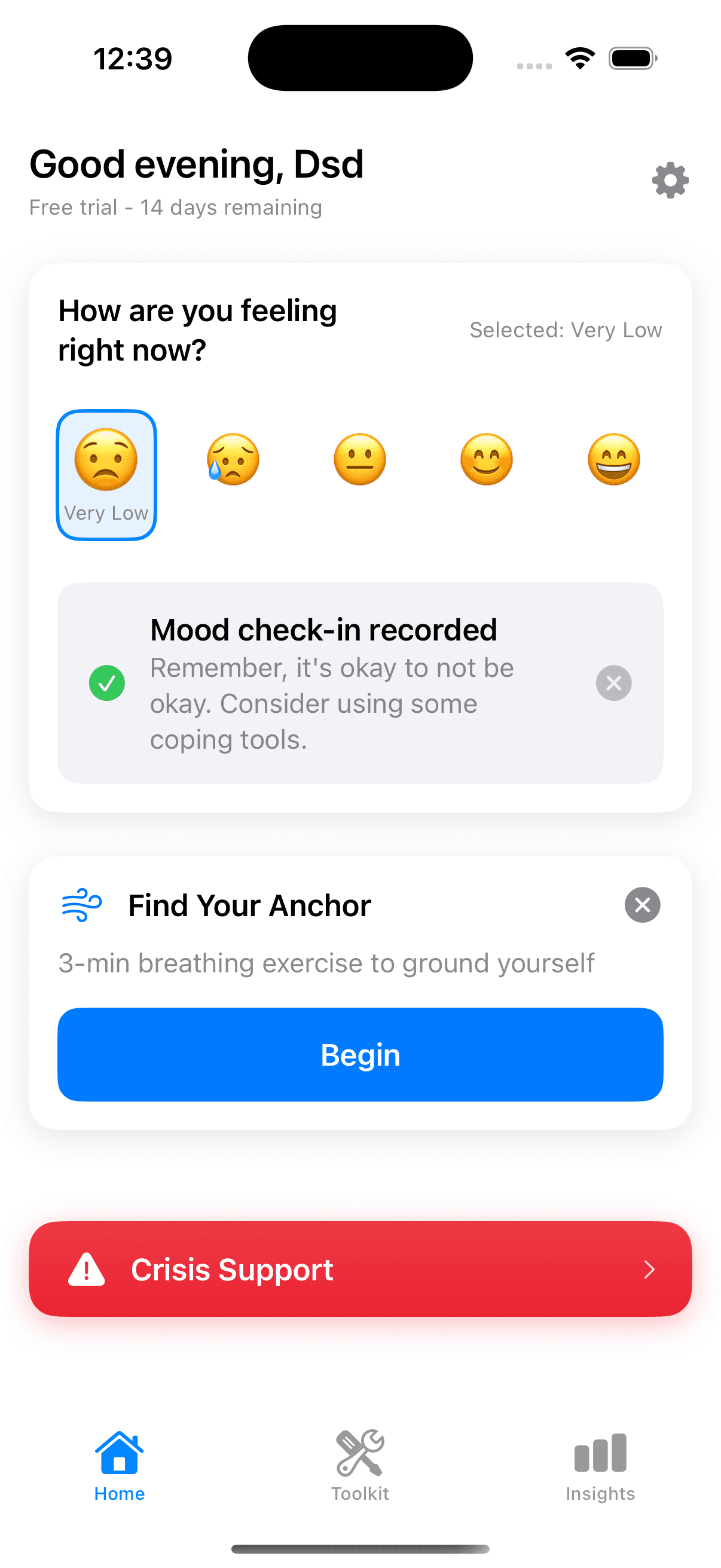 Home screen with AI therapeutic suggestions and mood check